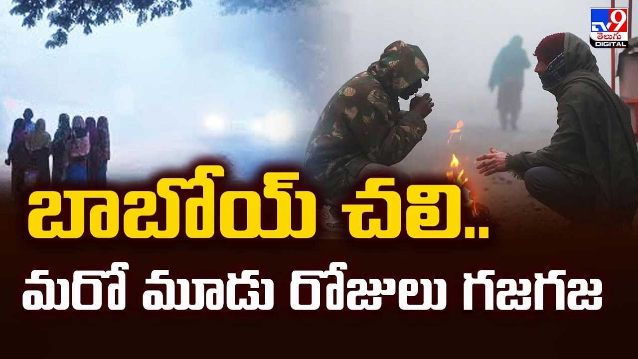 బాబోయ్‌ చలి..మరో మూడు రోజులు గజగజ వీడియో