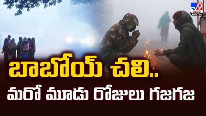 బాబోయ్ చలి..మరో మూడు రోజులు గజగజ వీడియో బాబోయ్ చలి..మరో మూడు రోజులు గజగజ వీడియో