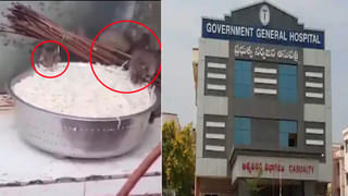 Watch: విజయవాడ సర్కార్ ఆస్పత్రిలో ఎలుకల స్వైర విహారం.. నూడిల్స్ తింటూ ఎంజాయ్‌! వీడియో వైరల్