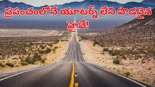 Optical Illusion: మీ కళ్లకు సూపర్ టెస్ట్.. ఈ చిత్రాల మధ్య తేడాలను 10 సెకన్లలో గుర్తిస్తే.. మీరే తోపులు!