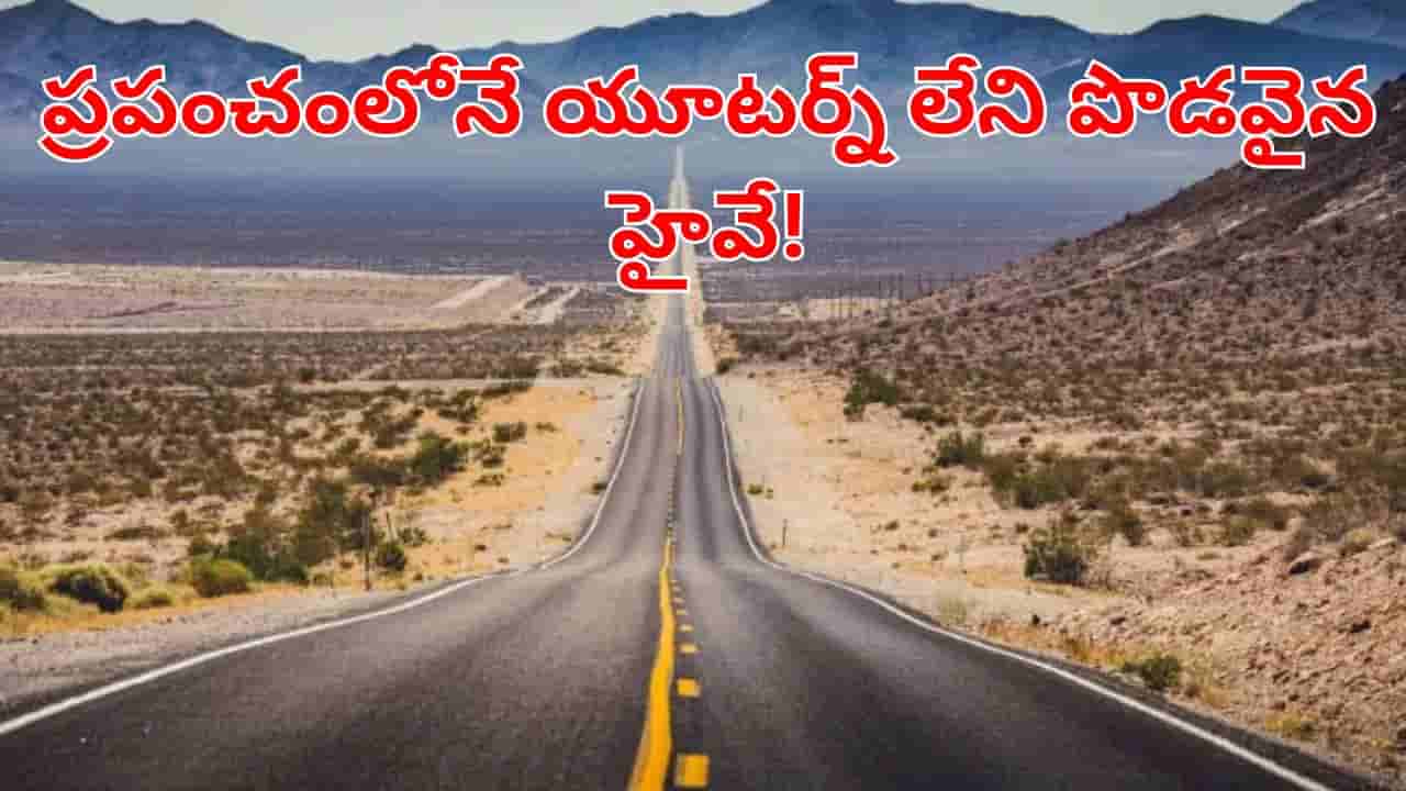 Viral News: ఒక్క యూటర్న్ కూడా లేకుండా 14 దేశాలను కలిపే ఏకైక హైవే.. ఎక్కడుందో తెలుసా?