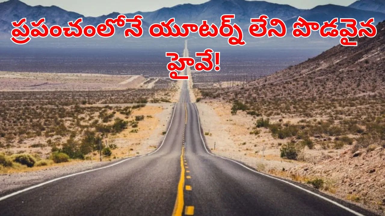 Viral News: ఒక్క యూటర్న్ కూడా లేకుండా 14 దేశాలను కలిపే ఏకైక హైవే.. ఎక్కడుందో తెలుసా?