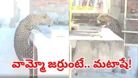పొద్దు పొద్దున్నే గ్రామంలోకి ఎంట్రీ ఇచ్చిన చిరుత.. చివరకు