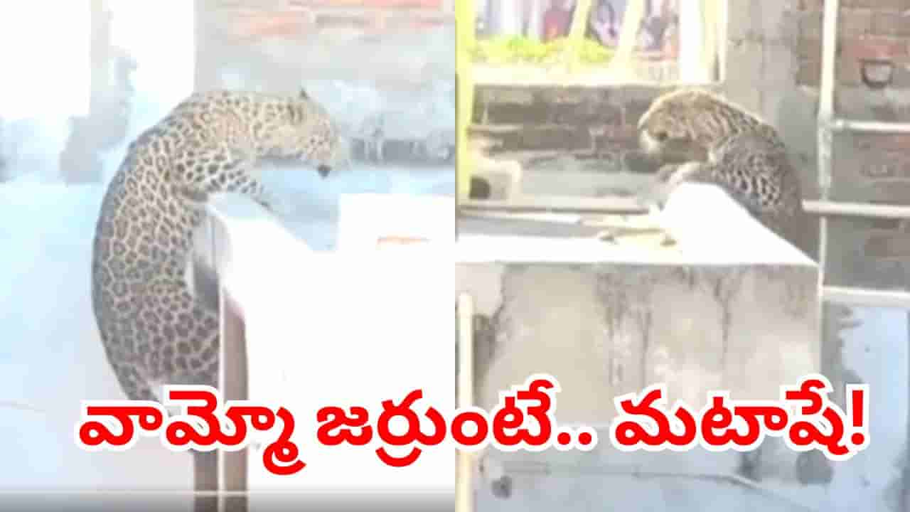 Watch: వామ్మో జర్రుంటే మటాషే.. పొద్దు పొద్దున్నే గ్రామస్తులపై విరుచుపడిన చిరుత.. చివరకు