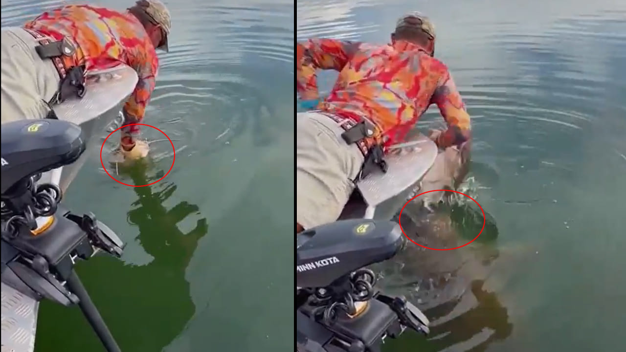 Viral Video: చేపలు పడుతుండగా వ్యక్తికి ఊహించని షాక్.. నీటి లోపల నుంచి ఒక్కసారిగా.!