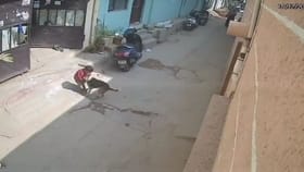 పిల్లలు ఒంటరిగా కనిపిస్తే దాడే.. చిన్నారుల పాలిట యముళ్లైన కుక్కలు