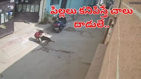 పిల్లలు ఒంటరిగా కనిపిస్తే దాడే.. చిన్నారుల పాలిట యముళ్లైన కుక్కలు