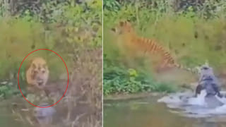 Viral Video: ఆగిపోవాల్సిన పెళ్లిని నిలబెట్టిన బ్లింకిట్ డెలివరీ బాయ్.. అంతా ఫిదా.. అసలు ఏం జరిగిందంటే..?