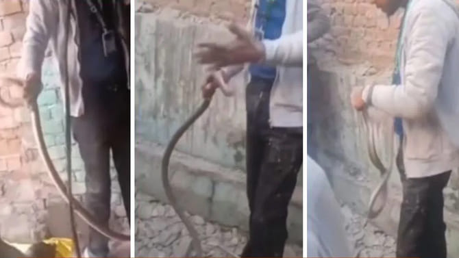 ఇంటి గోడ నుంచి వింత శబ్దాలు.. ఏంటని చూడగా..