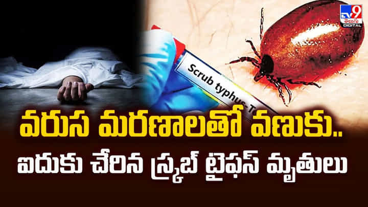 వరుస మరణాలతో వణుకు.. ఐదుకు చేరిన స్క్రబ్ టైఫస్ మృతులు వరుస మరణాలతో వణుకు.. ఐదుకు చేరిన స్క్రబ్ టైఫస్ మృతులు