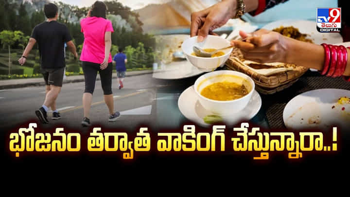 భోజనం తర్వాత వాకింగ్ చేస్తున్నారా..! ఈ విషయాలు తప్పక తెలుసుకోండి భోజనం తర్వాత వాకింగ్ చేస్తున్నారా..! ఈ విషయాలు తప్పక తెలుసుకోండి