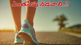 Aravalli Range: ఉత్తర భారతానికి రక్షణ కవచం! ఆరావళి పర్వతాల గురించి ఈ విషయాలు తెలుసా?