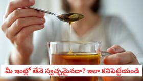 మీ ఇంట్లో తేనె స్వచ్ఛ‌మైన‌దా? ఇలా కనిపెట్టేయండి