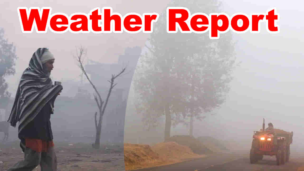 Weather Alert: బాబోయ్.. వచ్చే 3 రోజులు గజ గజ వణకాల్సిందే.. ఇదిగో లేటెస్ట్ వెదర్ రిపోర్ట్..