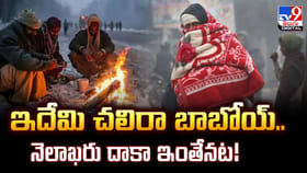 ఇదేమి చలిరా బాబోయ్‌.. నెలాఖరు దాకా ఇంతేనట