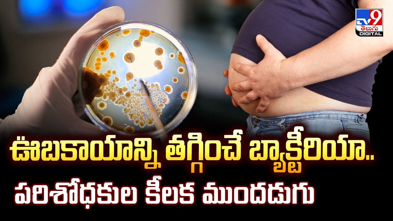 ఊబకాయాన్ని తగ్గించే బ్యాక్టీరియా.. పరిశోధకుల కీలక ముందడుగు