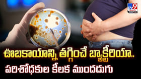 ఊబకాయాన్ని తగ్గించే బ్యాక్టీరియా.. పరిశోధకుల కీలక ముందడుగు