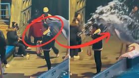 అక్వేరియంలోకి వెళ్లి.. రూల్స్ బ్రేక్ చేస్తే గిట్లుంటది..!