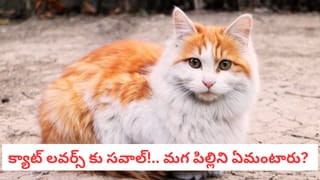 Dog Facts: కుక్కలు దయ్యాలను చూస్తాయా? సైన్స్ చెప్పిన అసలు రహస్యమిదే!