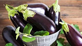 Health Tips: నెయ్యితో ఆటలు వద్దు.. వీళ్లకు విషమే..! ఎవరు తినకూడదో తెలుసా?