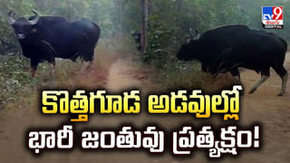 అబ్బా.. రెండు కళ్ళు చాలవు.. ఆంధ్రా ఊటీ అరకు అందాలు