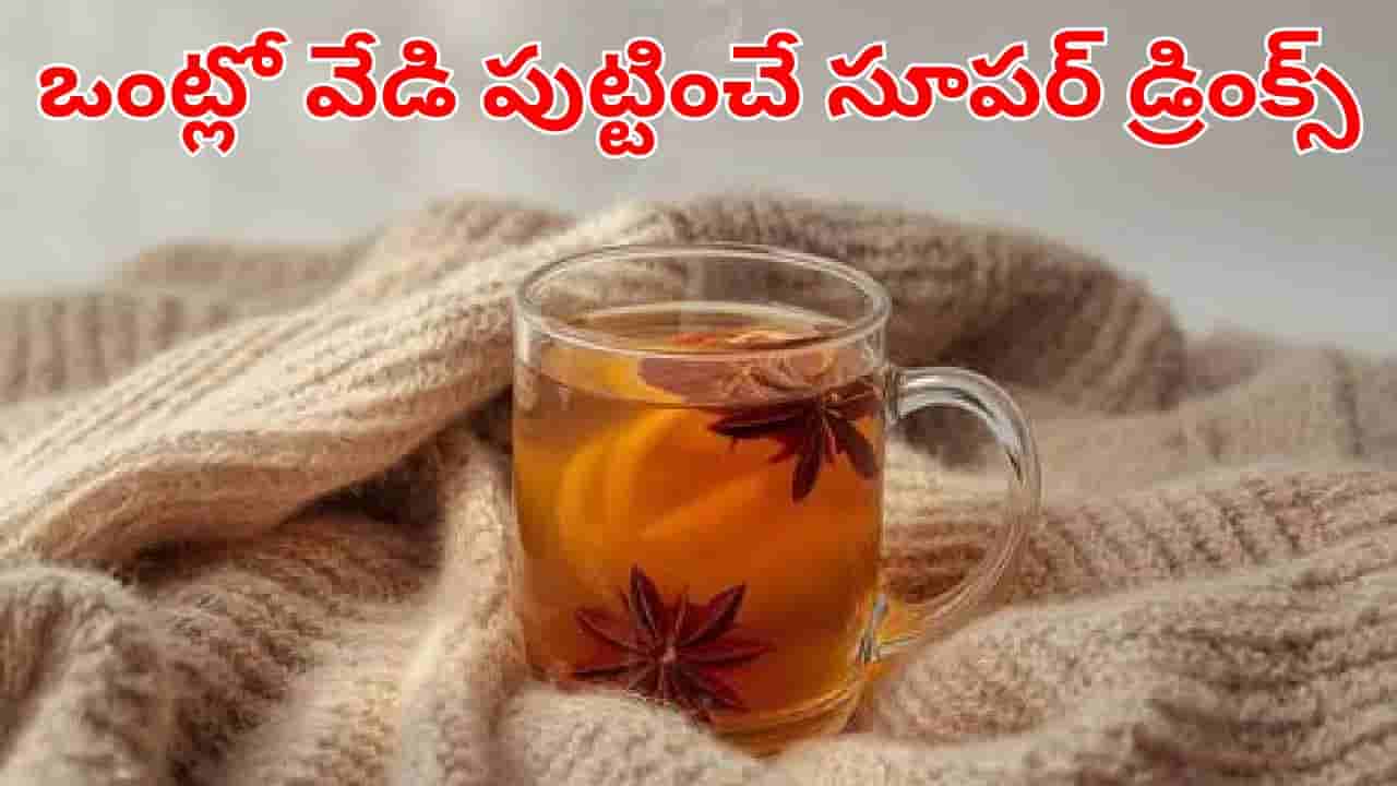Health Tips: ఒంట్లో వేడి పుట్టించే సూపర్ డ్రింక్స్ .. చలికాలంలో రోజూ తాగితే ఎంత హాయో..
