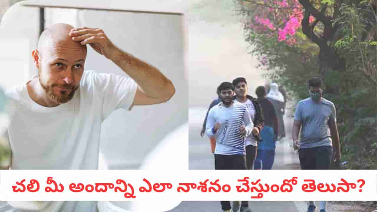 Winter Health: మంచు కాదు.. విషం! చలికాలంలో ఈ కేర్ తీసుకోకుంటే తలమీద ప్లే గ్రౌండే..