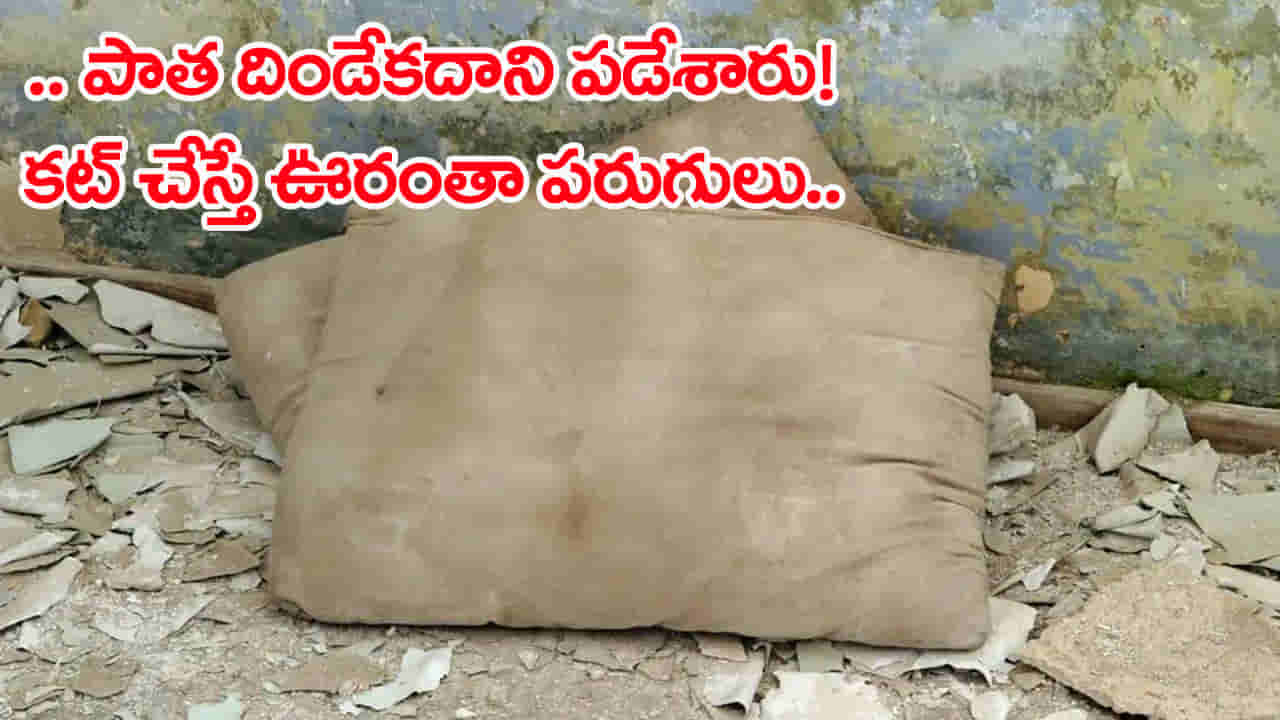 ఇంట్లో పాత తలగడని చెత్తలో పడేశారు.. కట్ చేస్తే ఊరంతా పరుగులు! అసలు సంగతిదే..