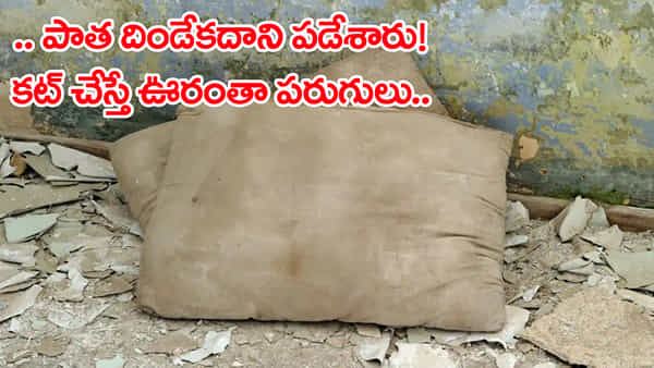 ఇంట్లో పాత తలగడని చెత్తలో పడేశారు.. కట్ చేస్తే ఊరంతా పరుగులు! అసలు సంగతిదే..