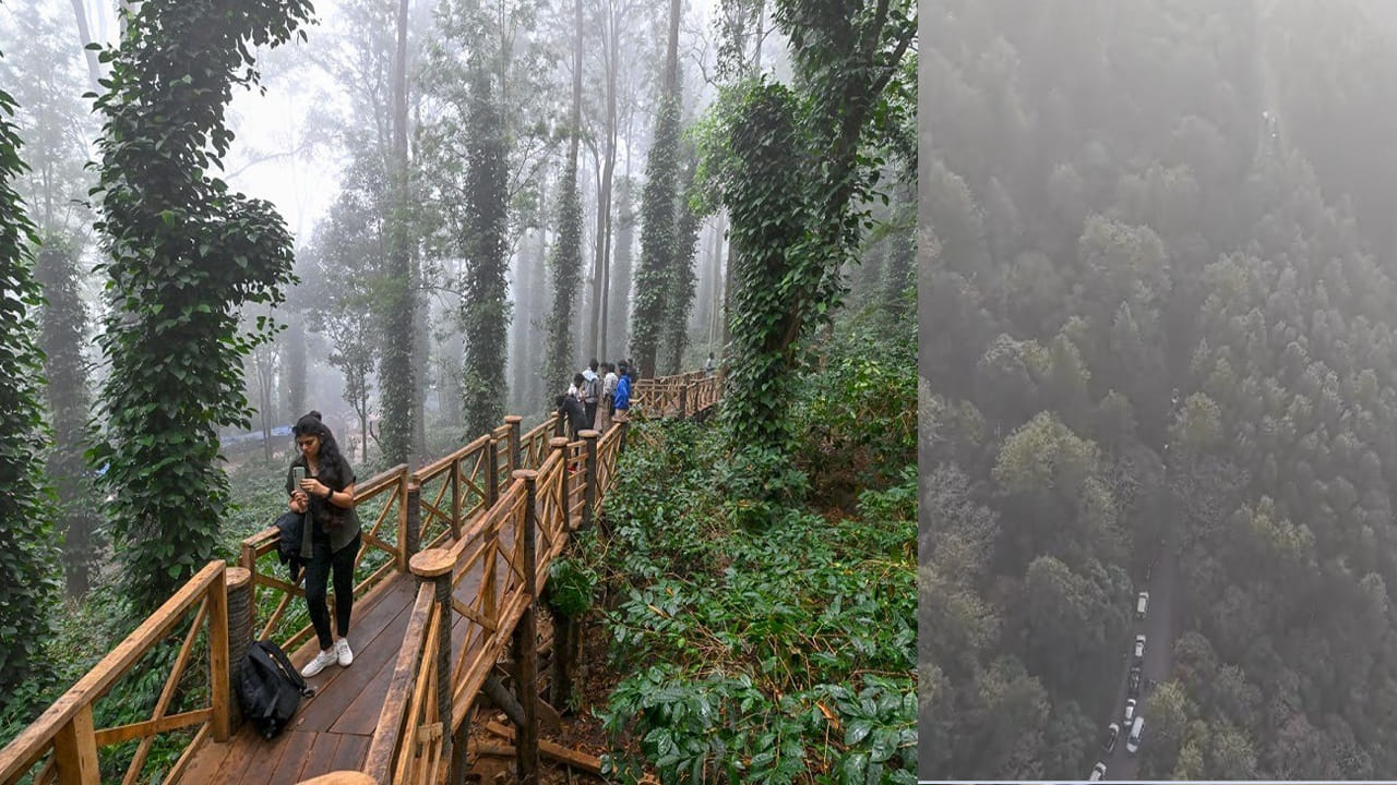 Watch: అల్లూరిలో టూరిస్టుల సందడి.. రోడ్లపై భారీగా ట్రాఫిక్! వుడెన్ బ్రిడ్జ్ సందర్శన వేళల్లో మార్పు..