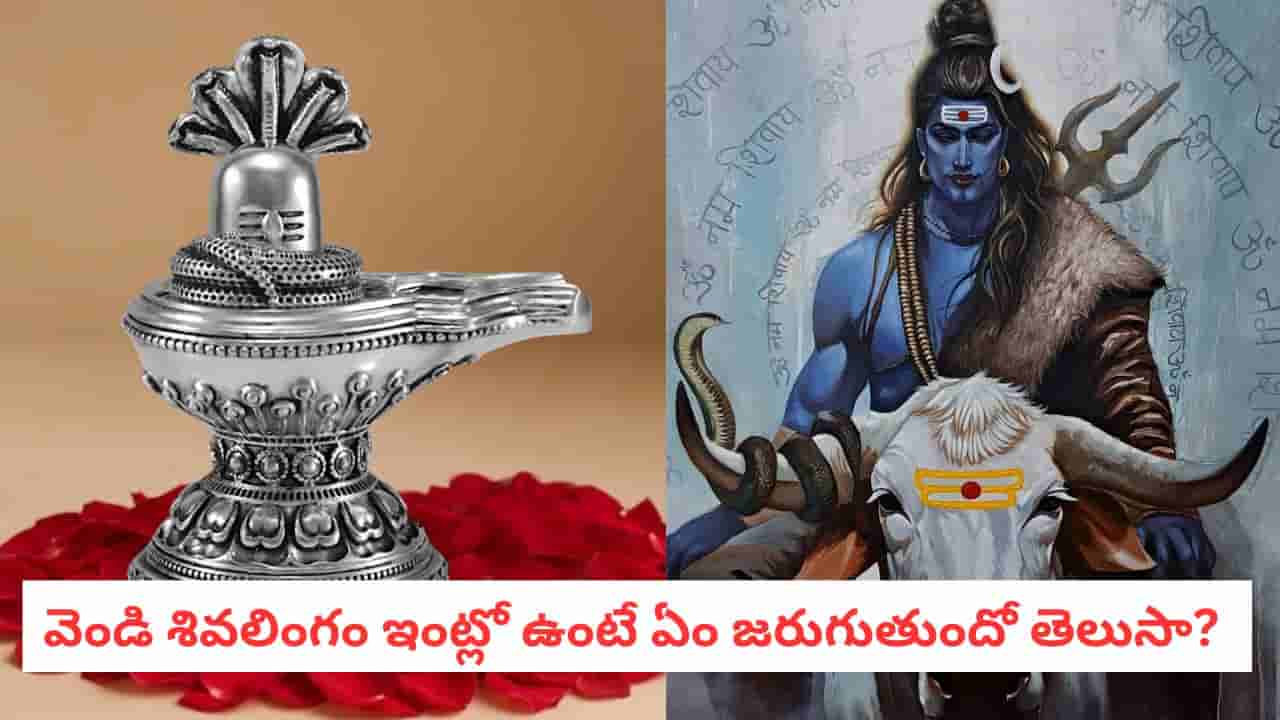 Lord Shiva: వెండి శివలింగం ఇంట్లో ఉందా? ఈ ఫలితాలు తెలిస్తే వెంటనే తెచ్చుకుంటారు..!