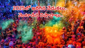 2025లో జరిగిన గొప్ప వేడుకలు..వెంటాడిన విషాదాలు.. గుర్తుకు వస్తేనే