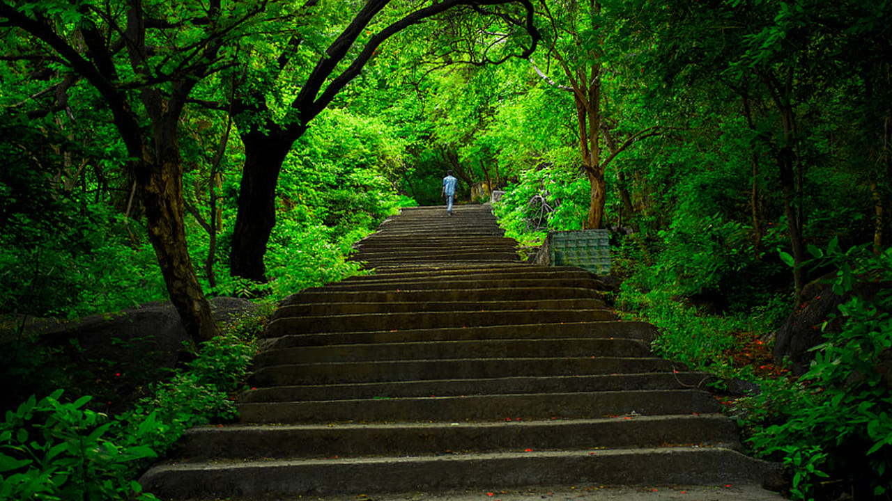 ఏలగిరి: తమిళనాడులోని వెల్లూరుకు సమీపంలో ఉన్న ఏలగిరి కొండలు ఈ ప్రాంతంలోని ఎత్తైన పర్వతాలు. మనం ఇక్కడ ట్రెక్కింగ్ చేయవచ్చు. సంవత్సరం ప్రారంభం కాబట్టి, చాలా మంది విదేశీ పర్యాటకులు, ముఖ్యంగా చెన్నై నుండి వచ్చిన వారు ఇక్కడకు వస్తారు. ఇక్కడ న్యూ ఇయర్ చాలా బాగుంటుంది.