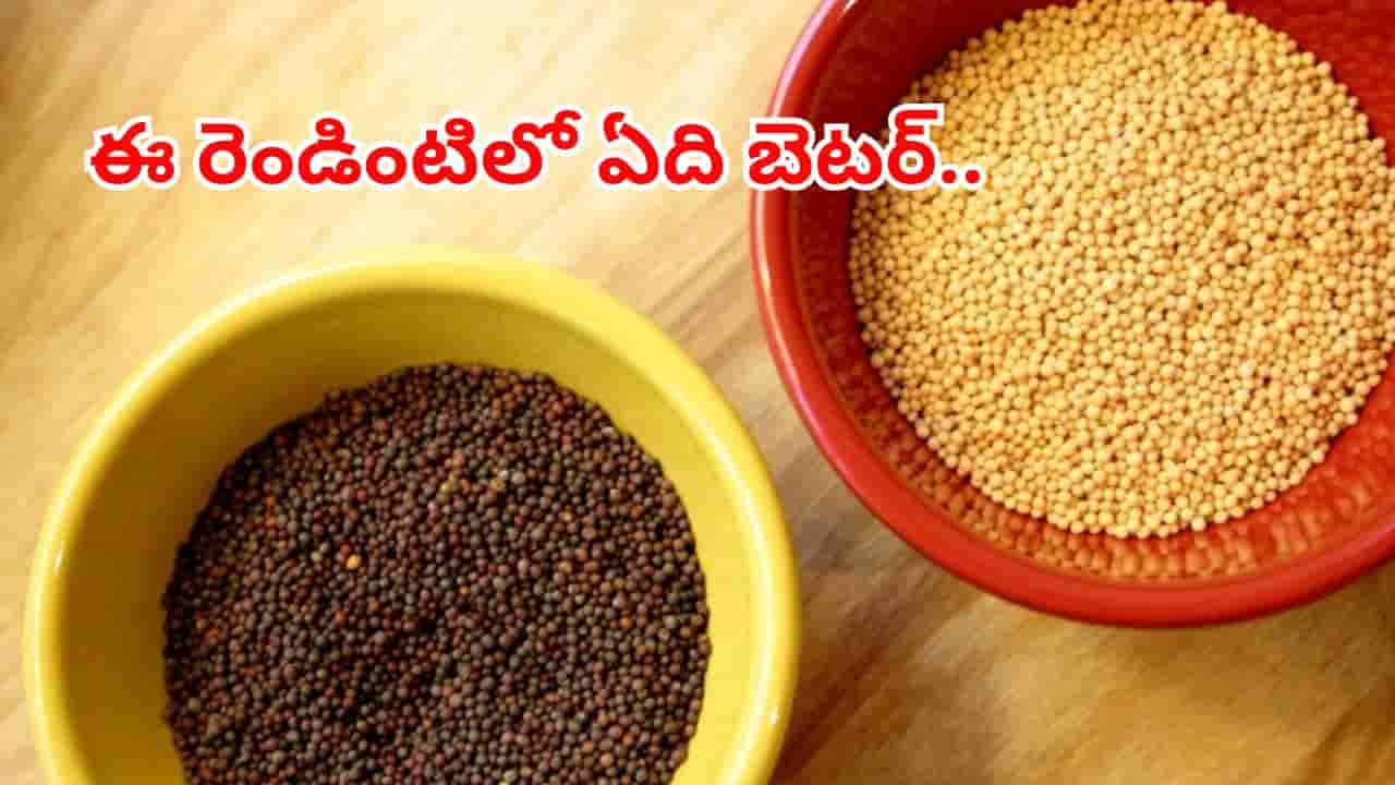 Yellow vs Black Mustard Seed: నల్ల ఆవాలు Vs తెల్ల ఆవాలు..ఆరోగ్యానికి ఏవి మంచివో తెలుసా..?
