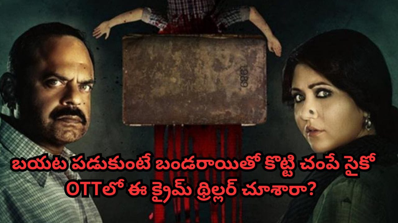 OTT Movie: బయట పడుకున్న వారిని బండరాయితో కొట్టి చంపే సైకో కిల్లర్.. ఓటీటీలో మతిపోగొట్టే రియల్ క్రైమ్ స్టోరీ