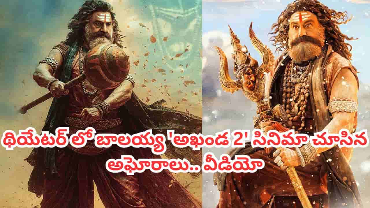 Akhanda 2 Movie: అఖండ 2 మూవీ థియేటర్‌లో అఘోరాలు.. బాలయ్య శివ తాండవాన్ని చూసి.. వీడియో