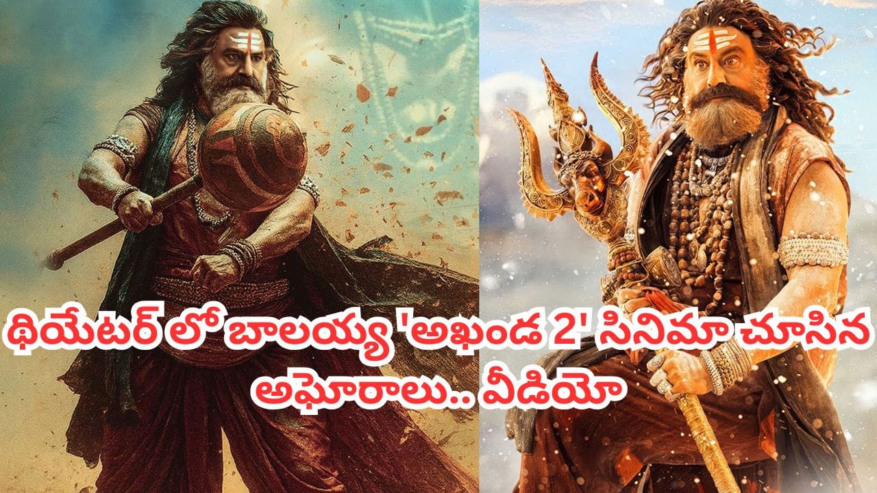 Akhanda 2 Movie: 'అఖండ 2' మూవీ థియేటర్లో అఘోరాలు.. బాలయ్య శివ తాండవాన్ని చూసి.. వీడియో