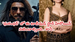 NTR 31: తారక్– ప్రశాంత్ నీల్ సినిమాలో పవర్‌‌ఫుల్ రోల్‌లో బాలీవుడ్ హీరోయిన్! ఎవరో తెలుసా?