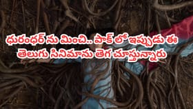 OTT Movie: ధురంధర్ కాదు..పాక్‌లో ఈ తెలుగు సినిమా తెగ చూస్తున్నారు