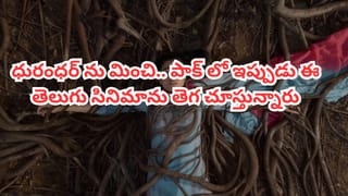 OTT Movie: ధురంధర్‌ను మించి.. ఇప్పుడు పాక్‌లో ఈ తెలుగు సినిమాను తెగ చూసేస్తున్నారు.. ఓటీటీ టాప్‌ ట్రెండింగ్‌లో..