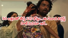50 లక్షలతో తీస్తే 120 కోట్లు.. 2025లో బిగ్గెస్ట్ హిట్ మూవీ ఇదే