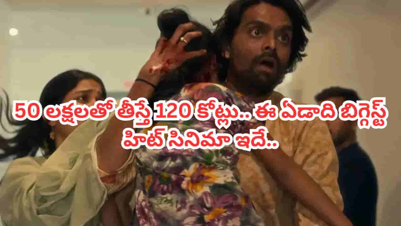 Cinema: 50 లక్షలతో తీస్తే 120 కోట్లు.. ఛావా, ధురంధర్ లను మించి లాభాలు.. 2025లో బిగ్గెస్ట్ హిట్ మూవీ ఇదే