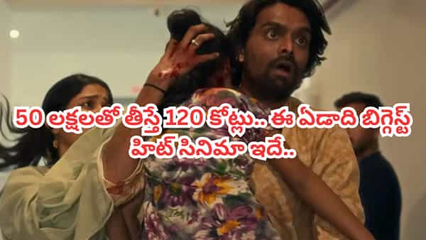 Cinema: 50 లక్షలతో తీస్తే 120 కోట్లు.. ఛావా, ధురంధర్ లను మించి లాభాలు.. 2025లో బిగ్గెస్ట్ హిట్ మూవీ ఇదే