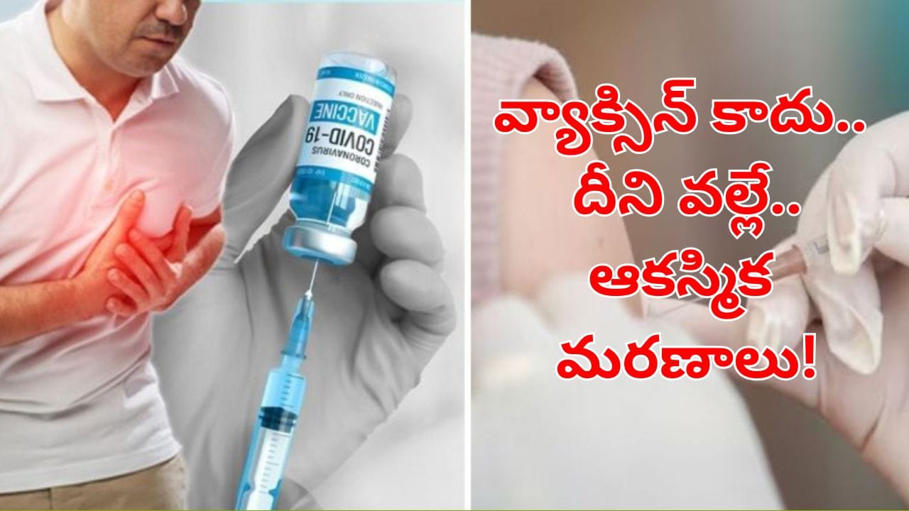 AIIMS Report: కరోనా వ్యాక్సిన్ కాదు.. యువత ఆకస్మిక మరణాలకు కారణమేంటో తేల్చేసిన ఎయిమ్స్‌!