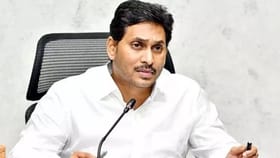 ఏపీ మాజీ సీఎం జగన్‌ మోహన్ రెడ్డికి స్వల్ప అస్వస్థత