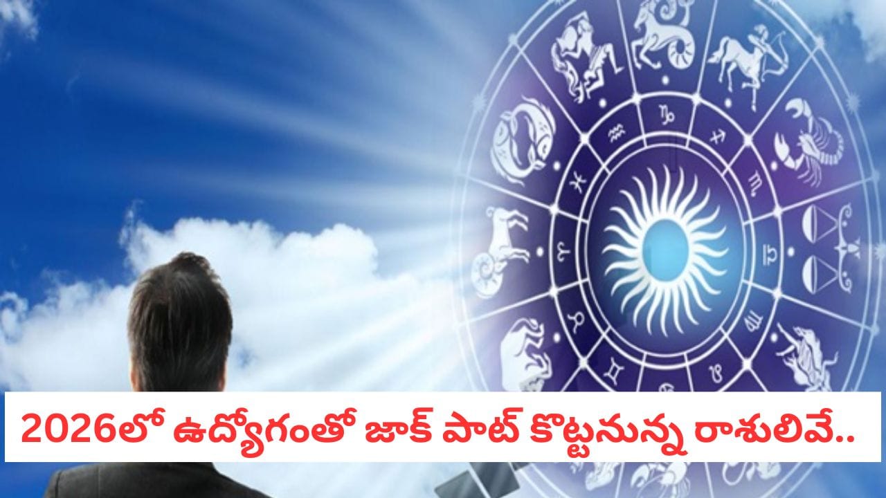 Zodiac Signs: మీ రాశికి పర్ఫెక్ట్ కెరీర్ ఇదే.. 2026లో కోటీశ్వరయోగం పట్టనున్న రాశులివే!