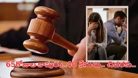 అయ్య బాబోయ్.. మీ పెళ్లికో దండం.. 65 రోజుల కాపురంలో 40 కేసులా..