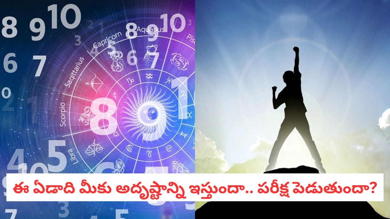 2026 Numerology: ఈసారి మీ నంబర్ ఫాలో అవ్వండి! 2026లో మీరు సక్సెస్ అవ్వాలంటే ఇదే సీక్రెట్..
