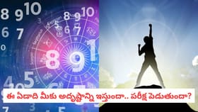 ఈ ఏడాది మీకు అదృష్టాన్ని ఇస్తుందా.. పరీక్ష పెడుతుందా?