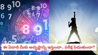 ఈ రాశులవారికి కొద్ది జాగ్రత్తతో కొండంత విజయం!